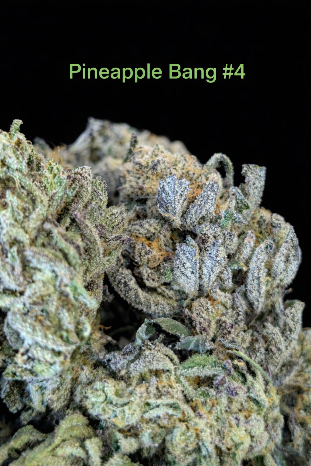 Fire Handler Exotics - Pineapple Bang #4 2.png