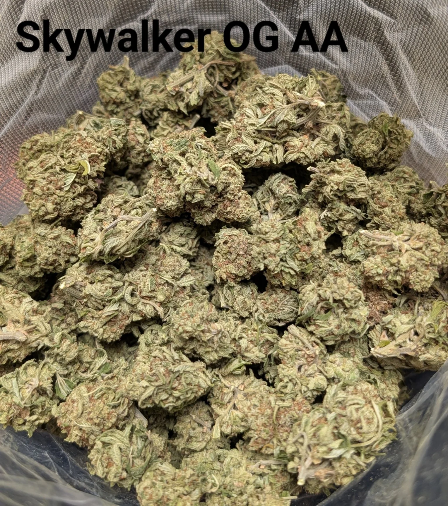 skywalker og - cheaps.jpg