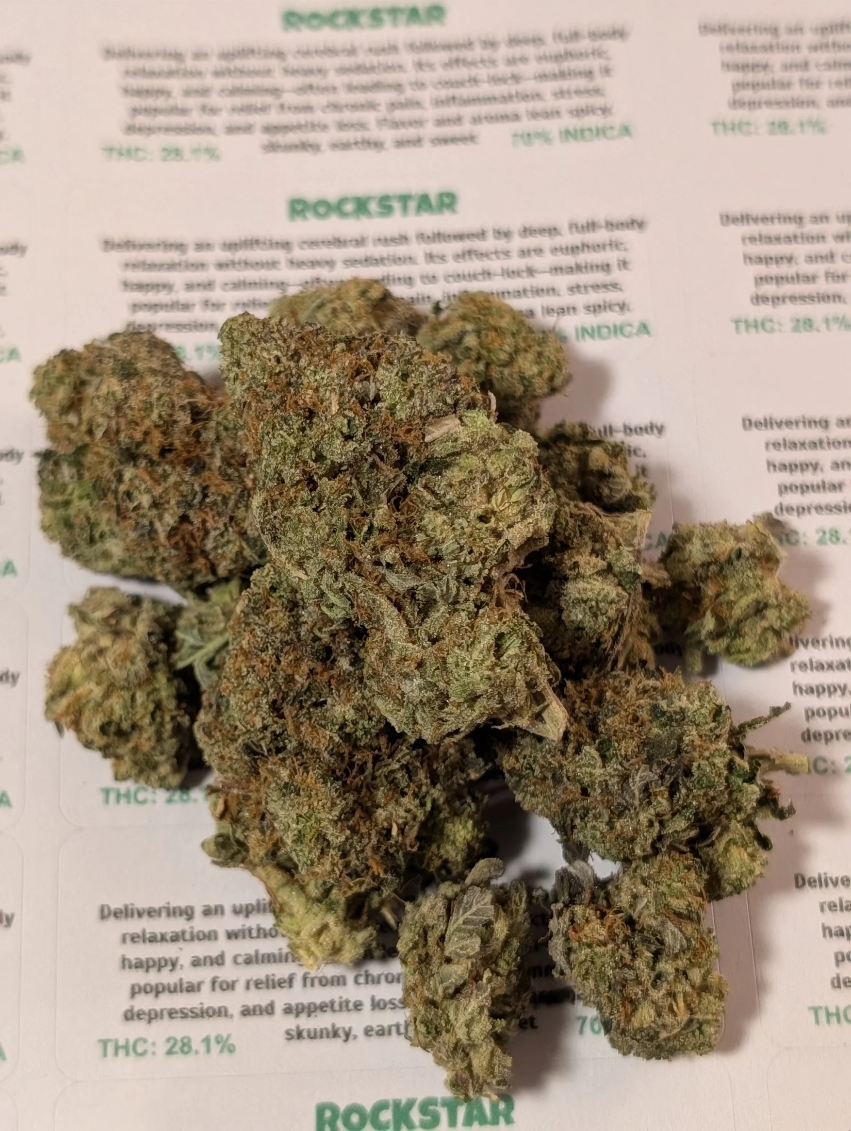 sin city - rockstar 3.jpg