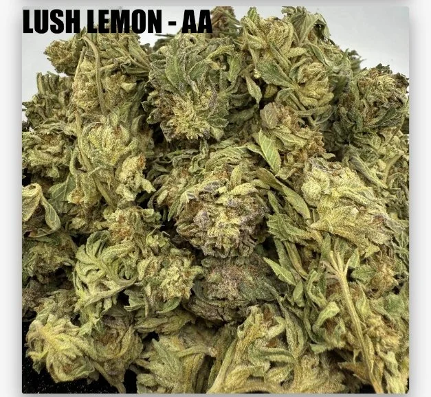 LUSH LEMON - CHEAPS