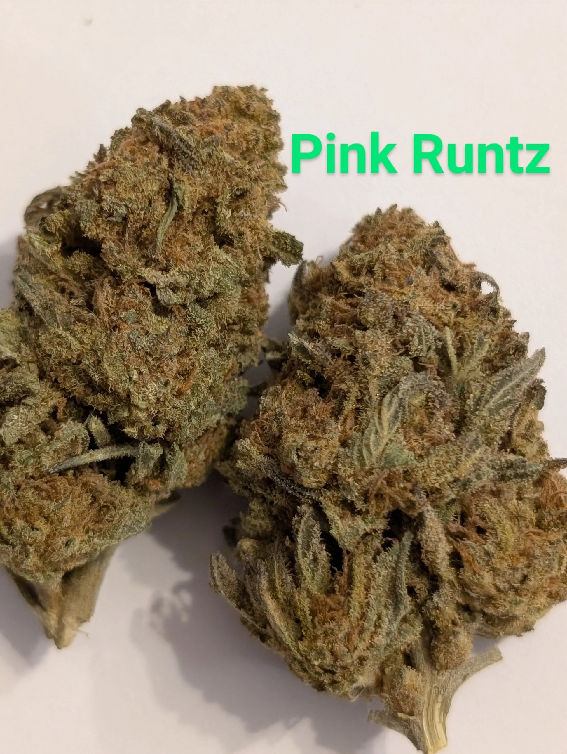 PINK RUNTZ MIDS .jpg