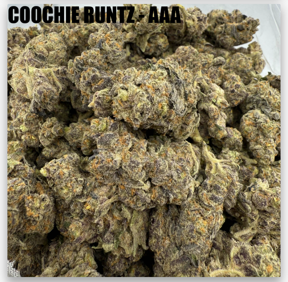 COOCHIE RUNTZ - MIDS