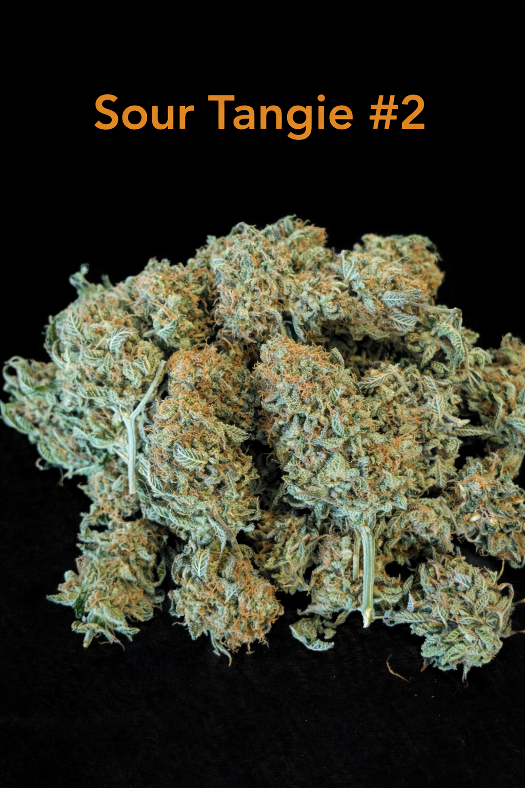 Fire Handler Exotics - Sour Tangie #2 1.png