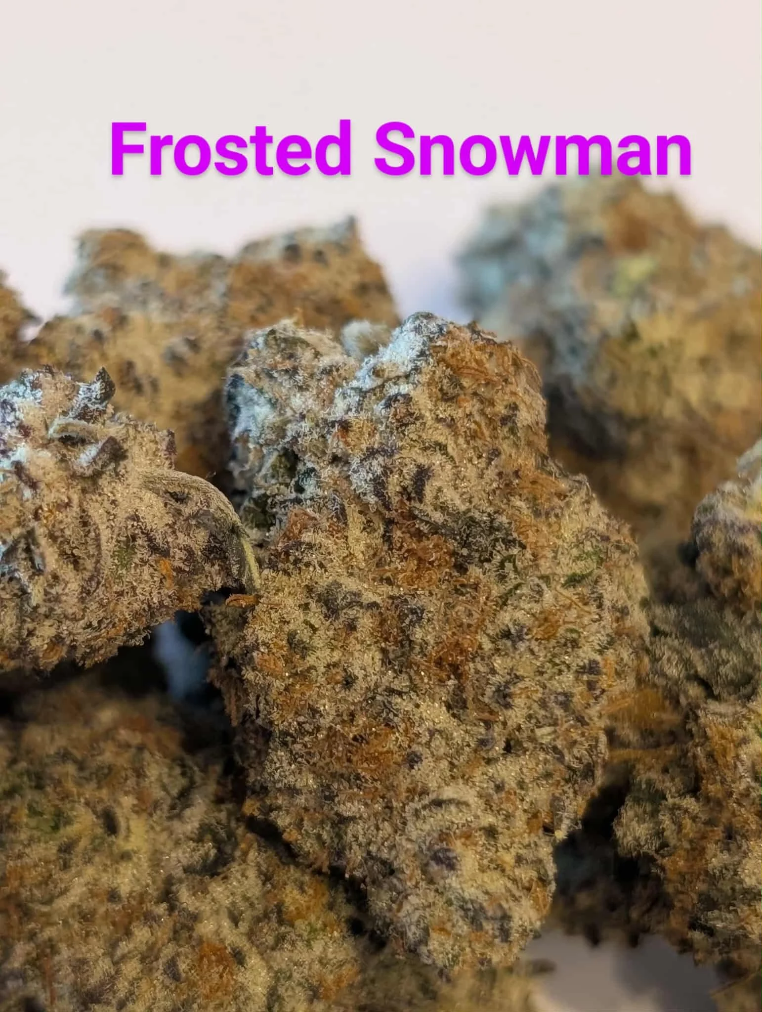 mcfly's 2.0 - frosted snowman2.jfif