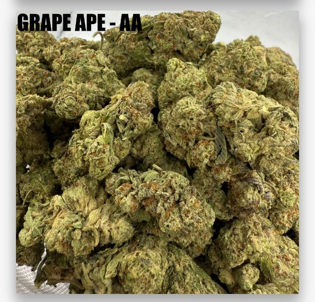 GRAPE APE - CHEAPS