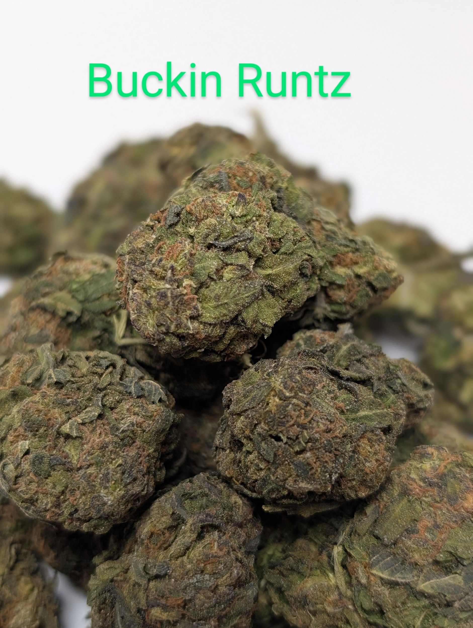 BUNKING RUNTZ - CHEAPS