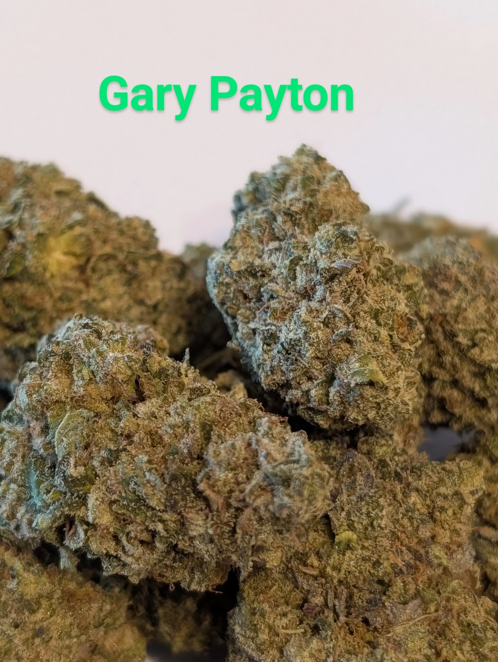 mcfly's 2.0 - Gary Payton 2.jpg