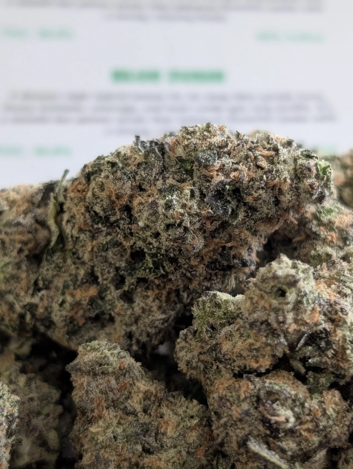 sin city - blue zushi 2.jpg