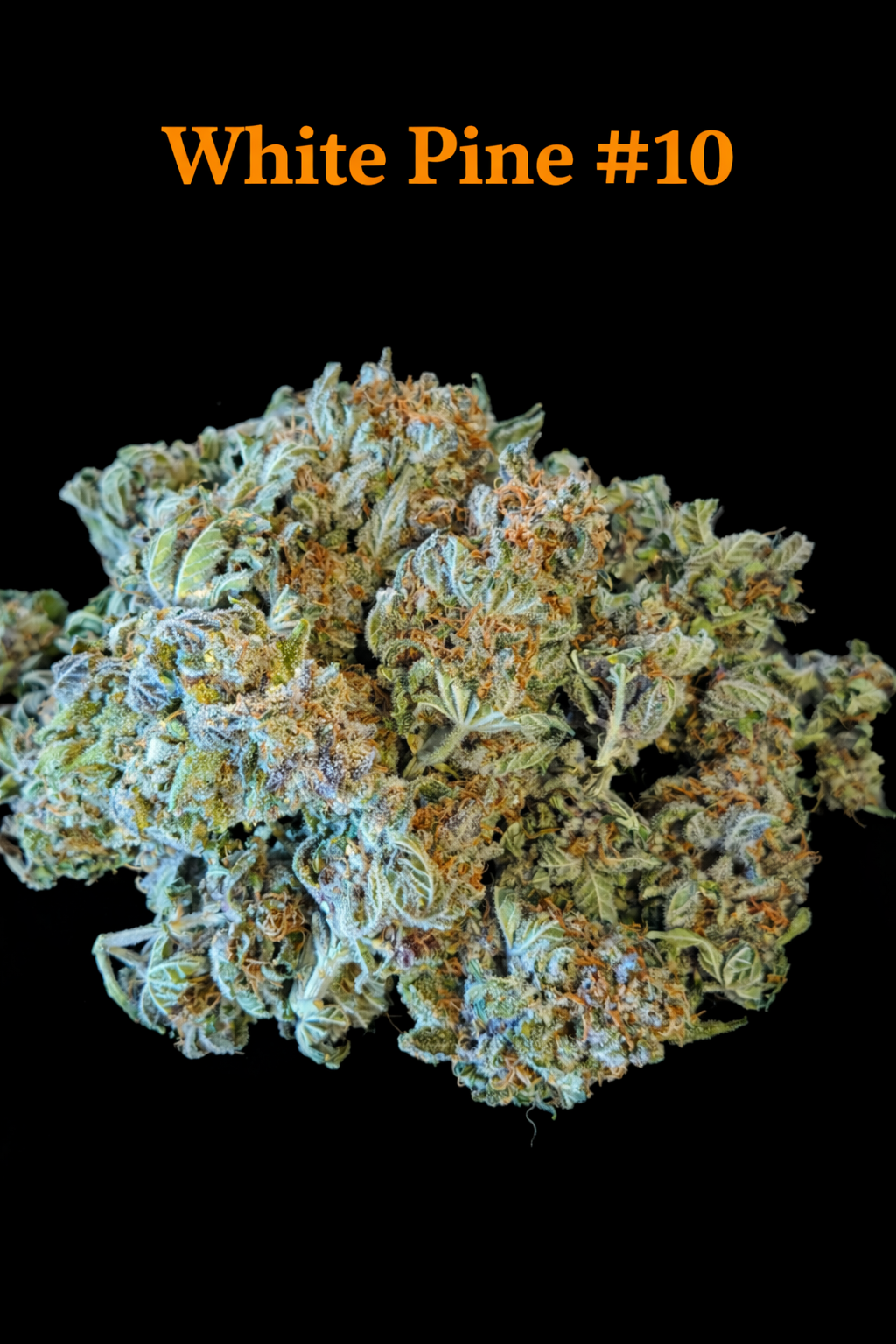 Fire Handler Exotics - White Pine #10 3.png