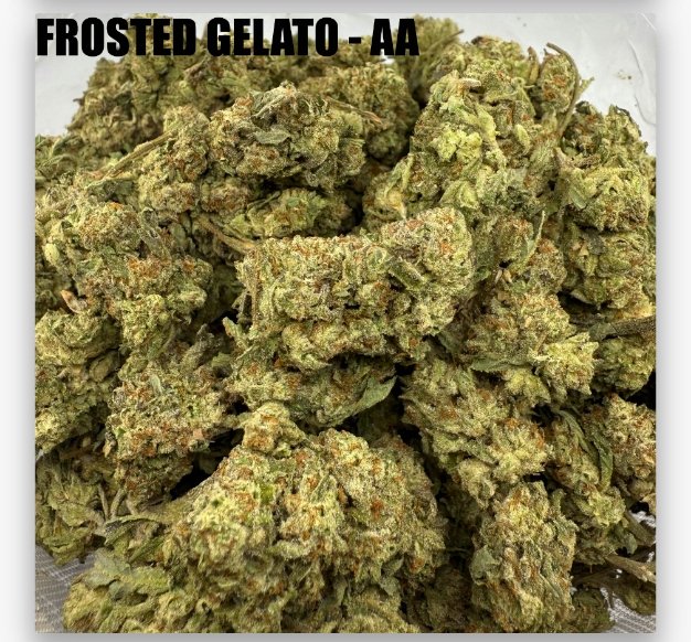 FROSTED GELATO - CHEAPS