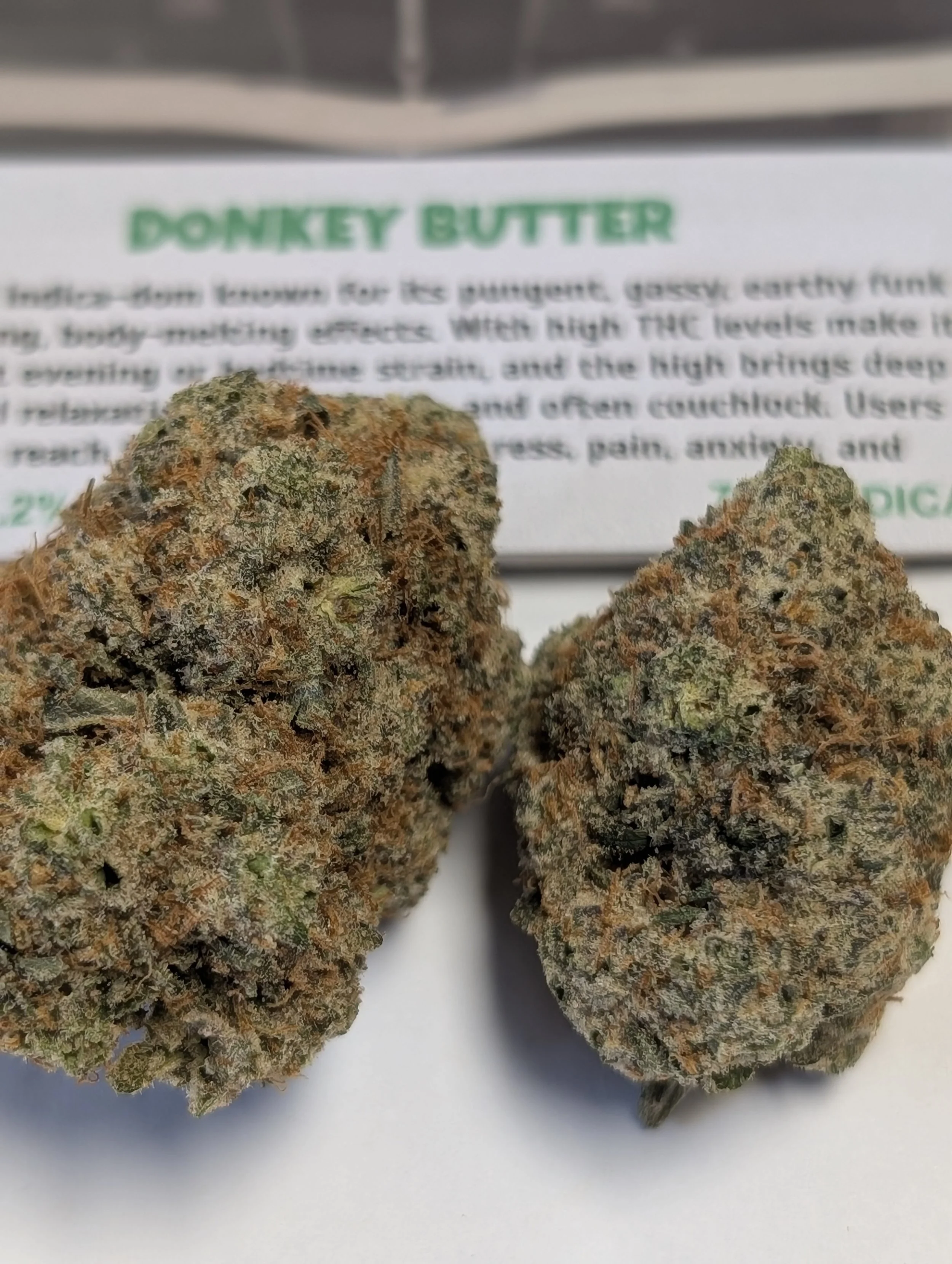 DONKEY BUTTER - SIN CITY