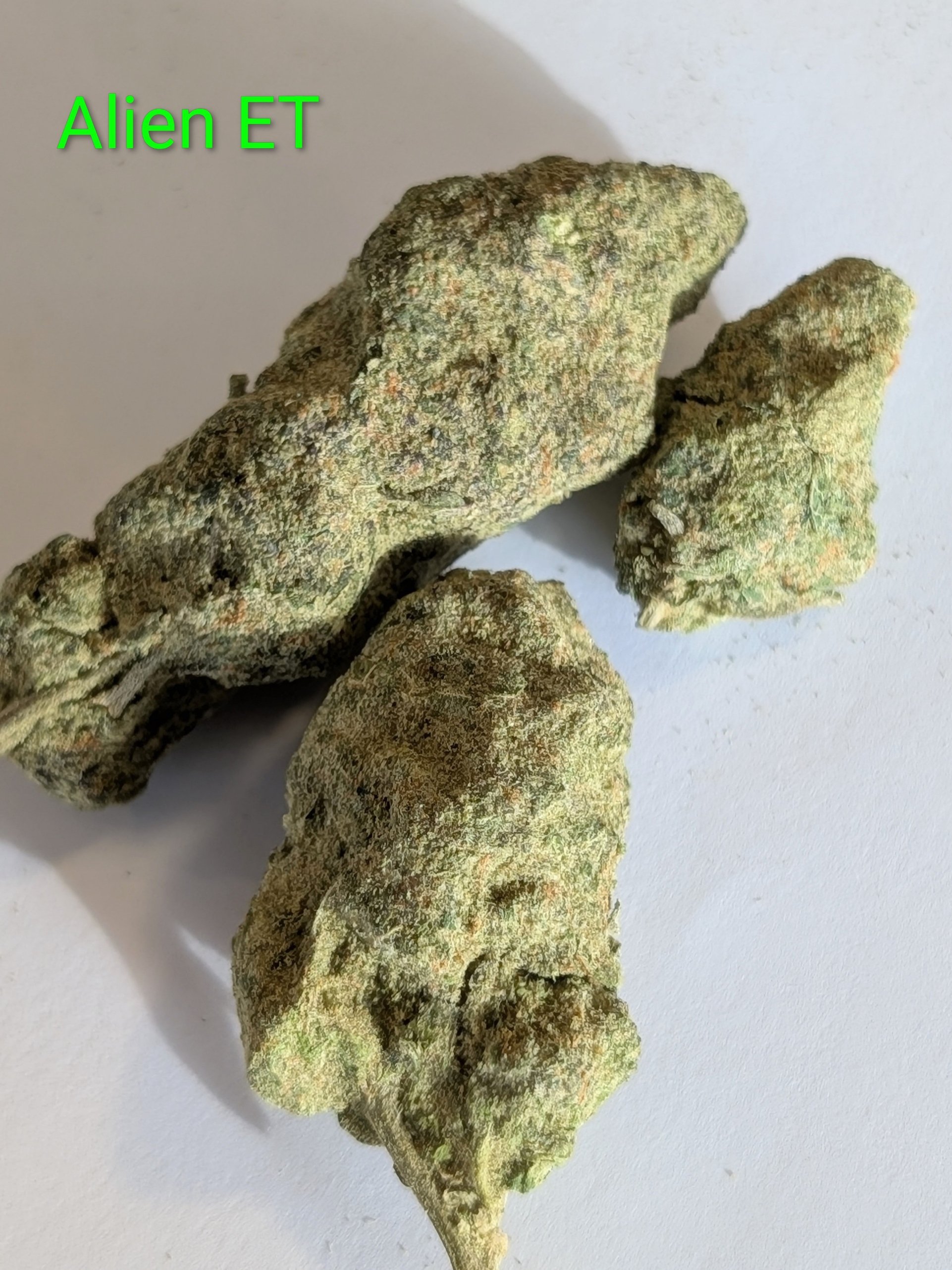 Alien et mids.jpg