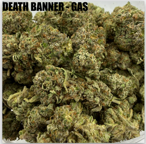 McFly's - death banner.png