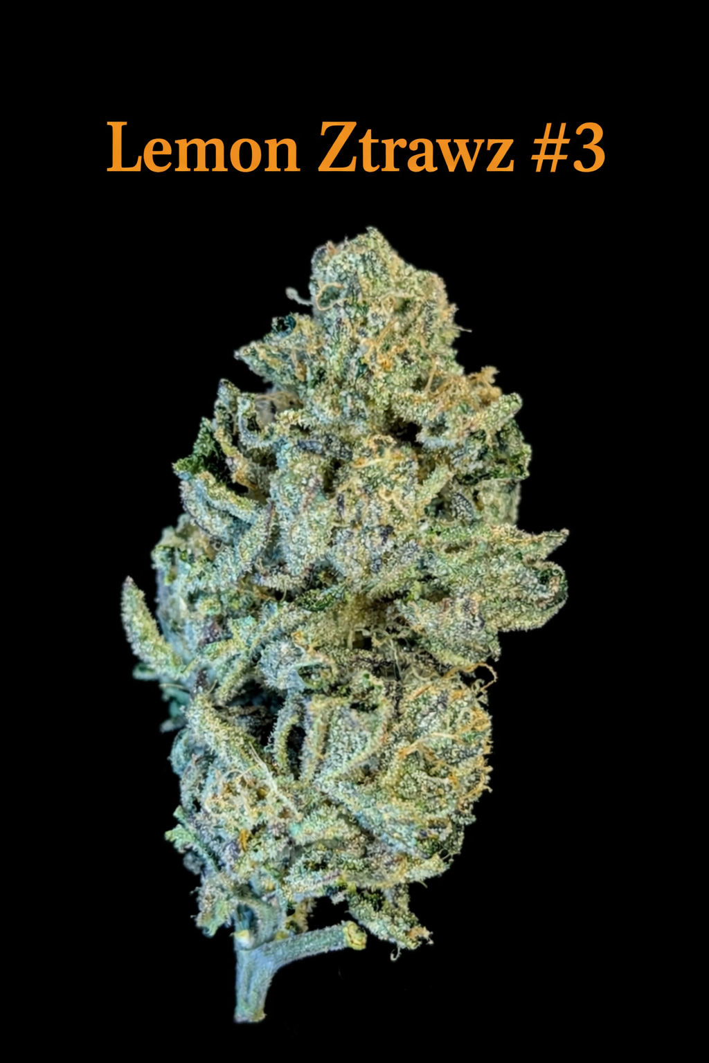 Fire Handler Exotics - Lemon Ztrawz #3 2.png