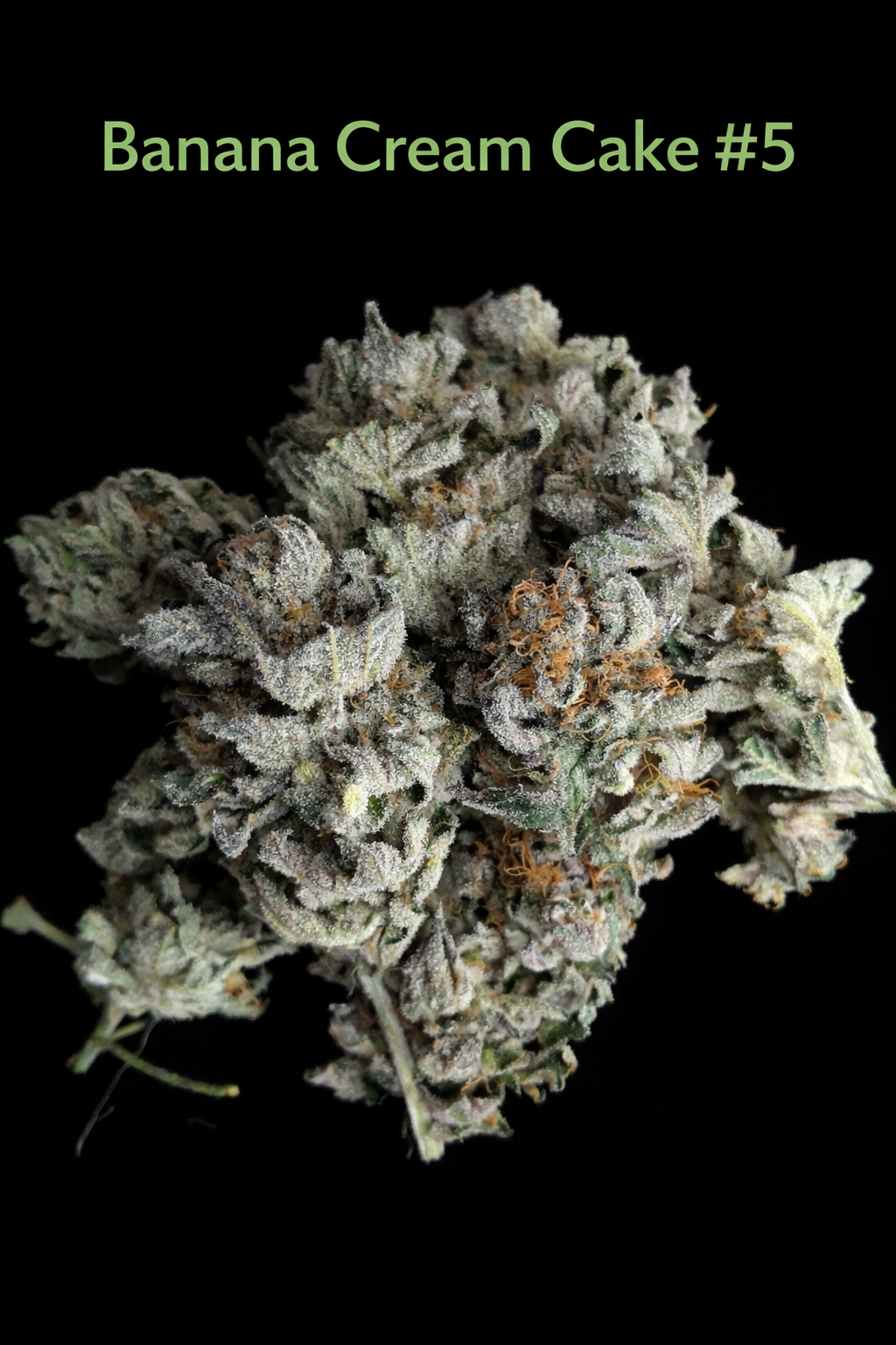 Fire Handler Exotics - Banana Cream Cake 4.png