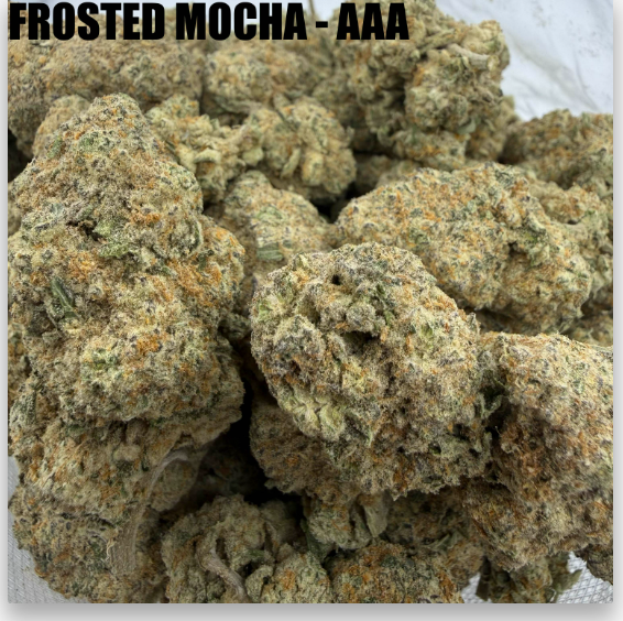 FROSTED MOCHA - McFLY'S PREMIUM 2.0