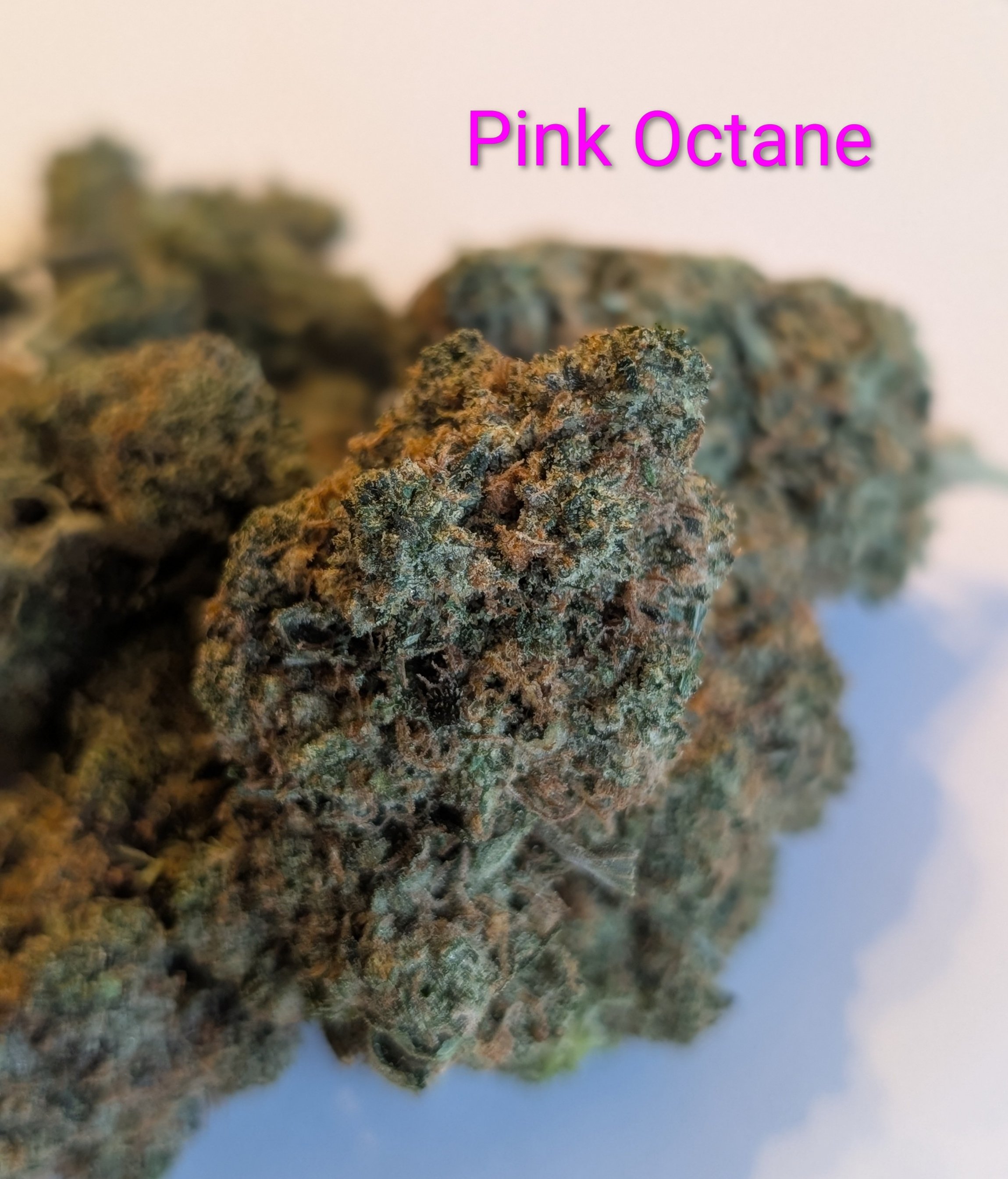 PINK OCTANE - McFLY'S PREMIUM 2.0