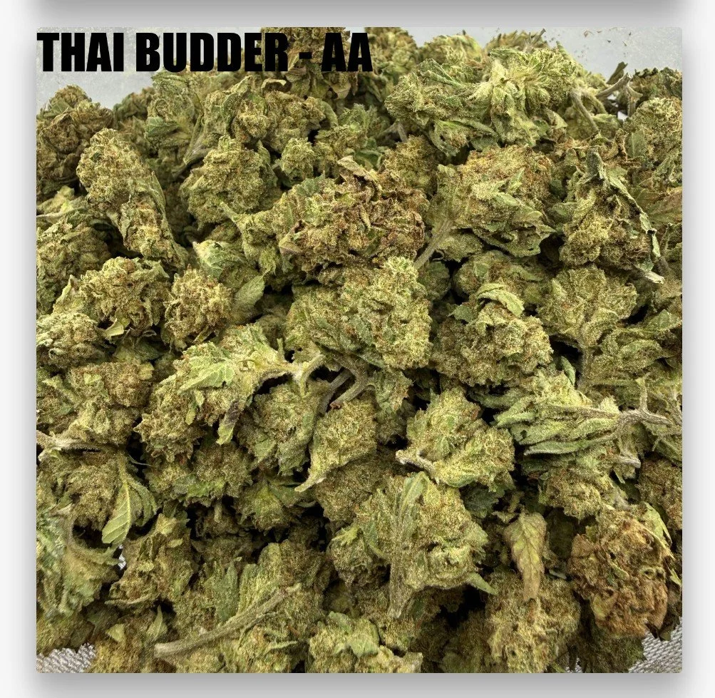 THAI BUDDER - CHEAPS