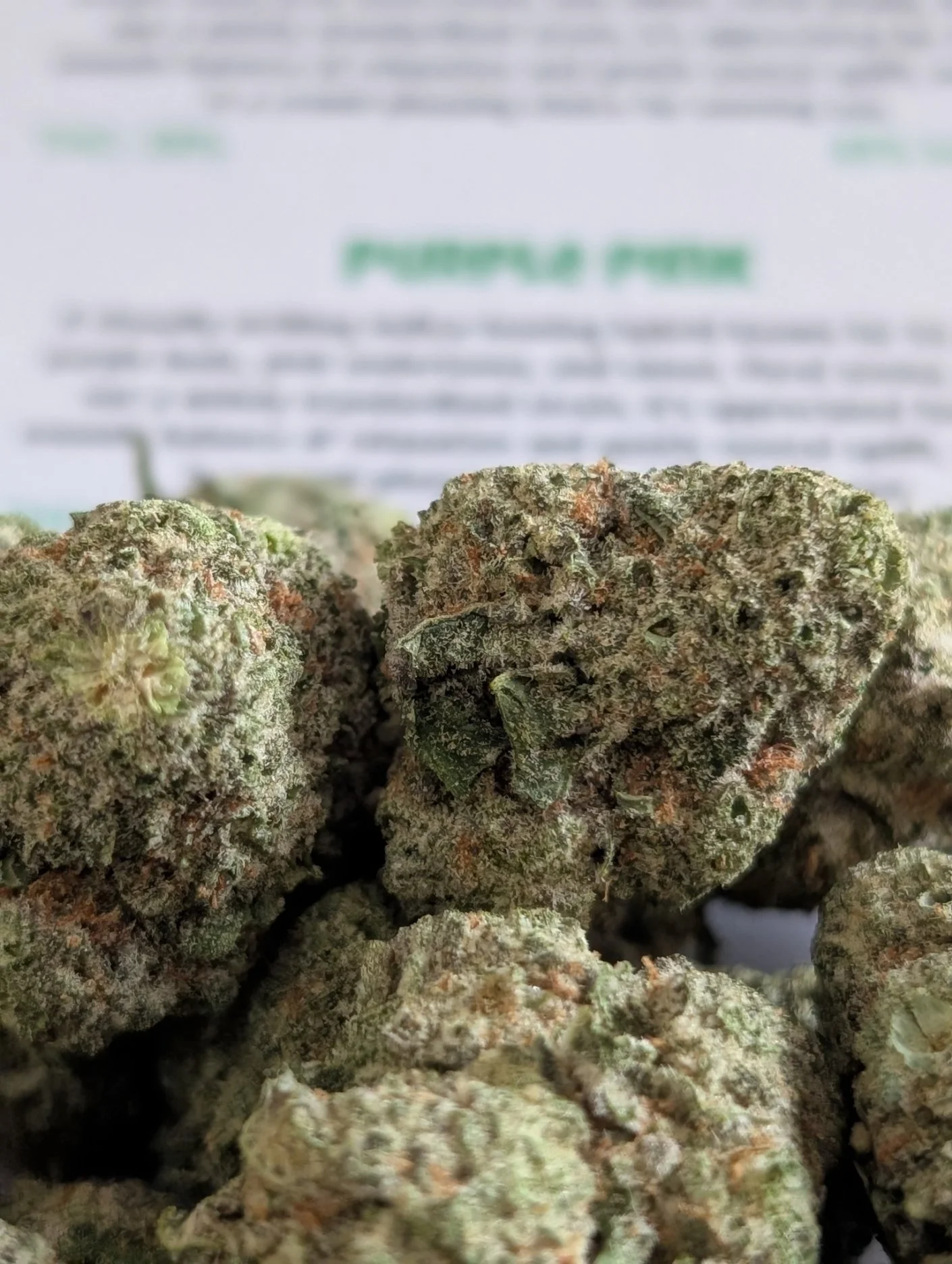 sin city - purple pink 2.jpg