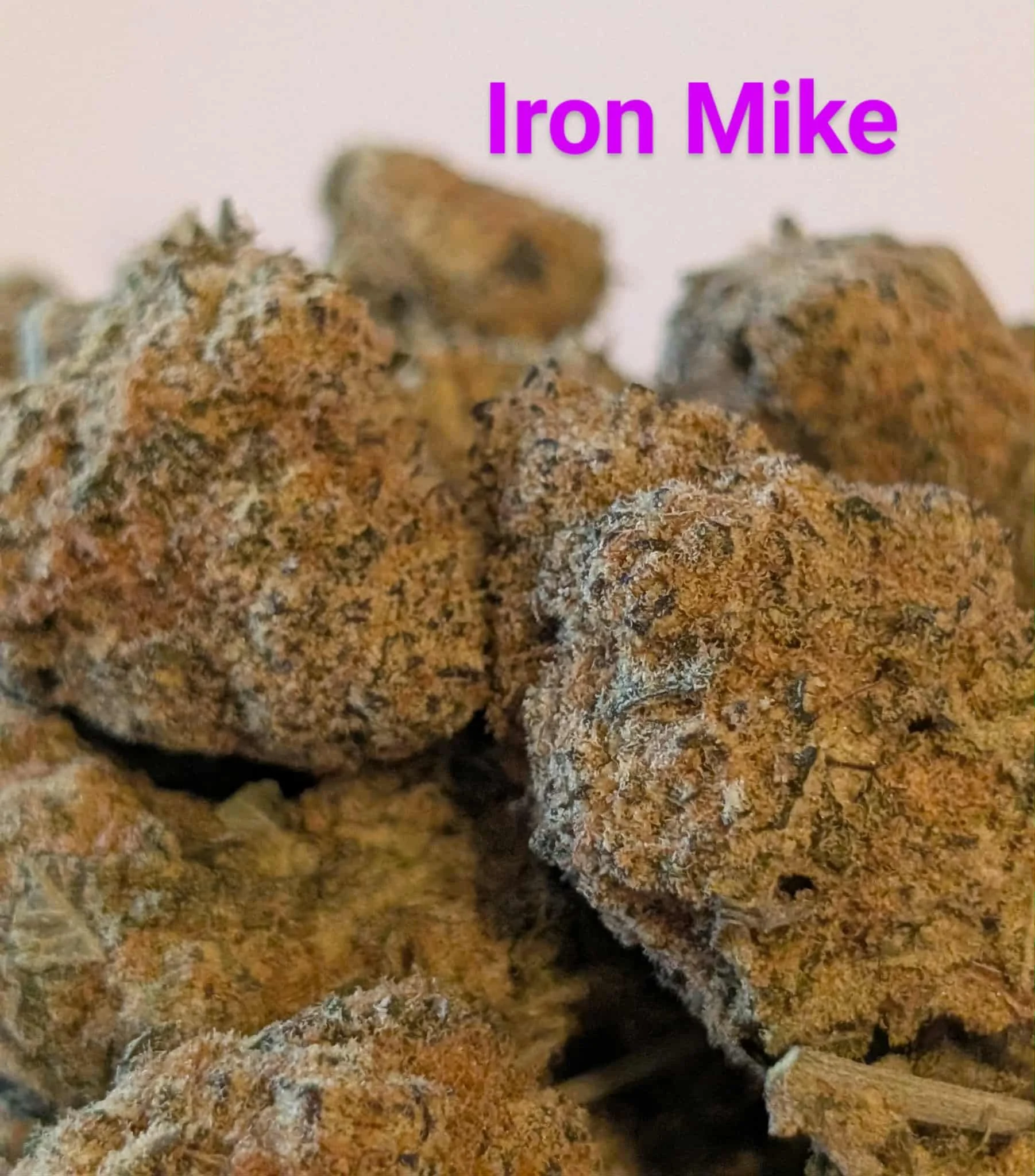 mcfly's 2.0 - iron mike 2.jfif