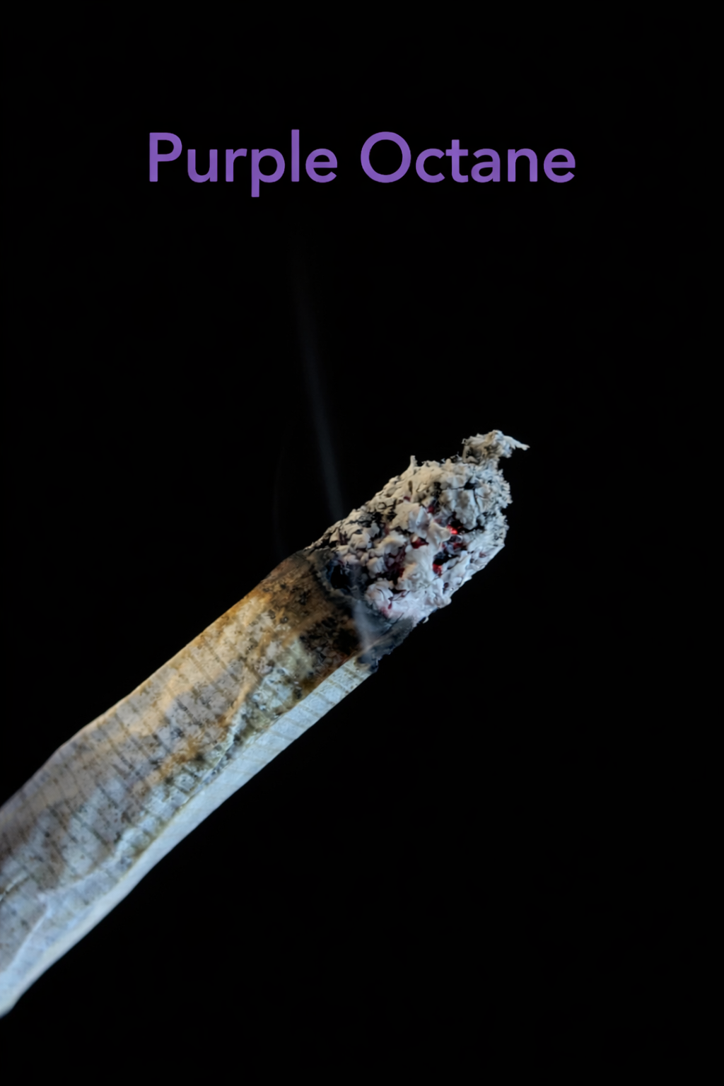 SKUNCLES - PURPLE OCTANE 4.png