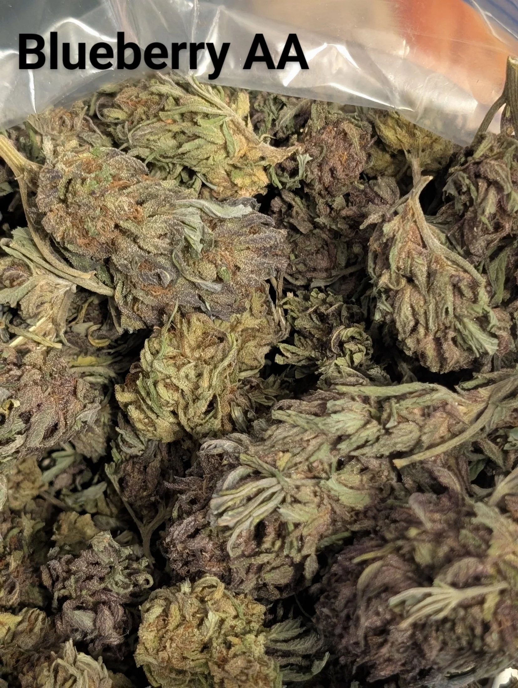 BLUEBERRY - CHEAPS
