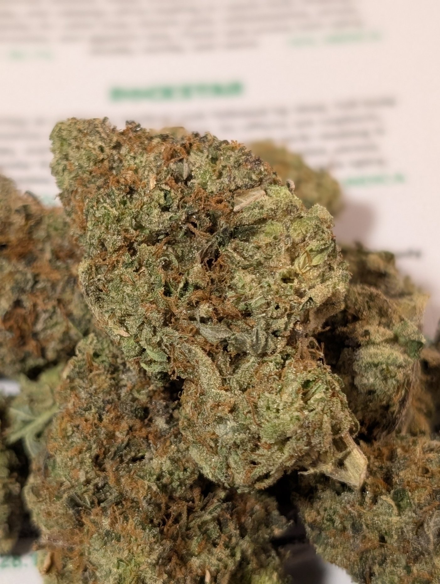 sin city - rockstar 2.jpg