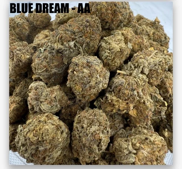 BLUE DREAM - CHEAPS