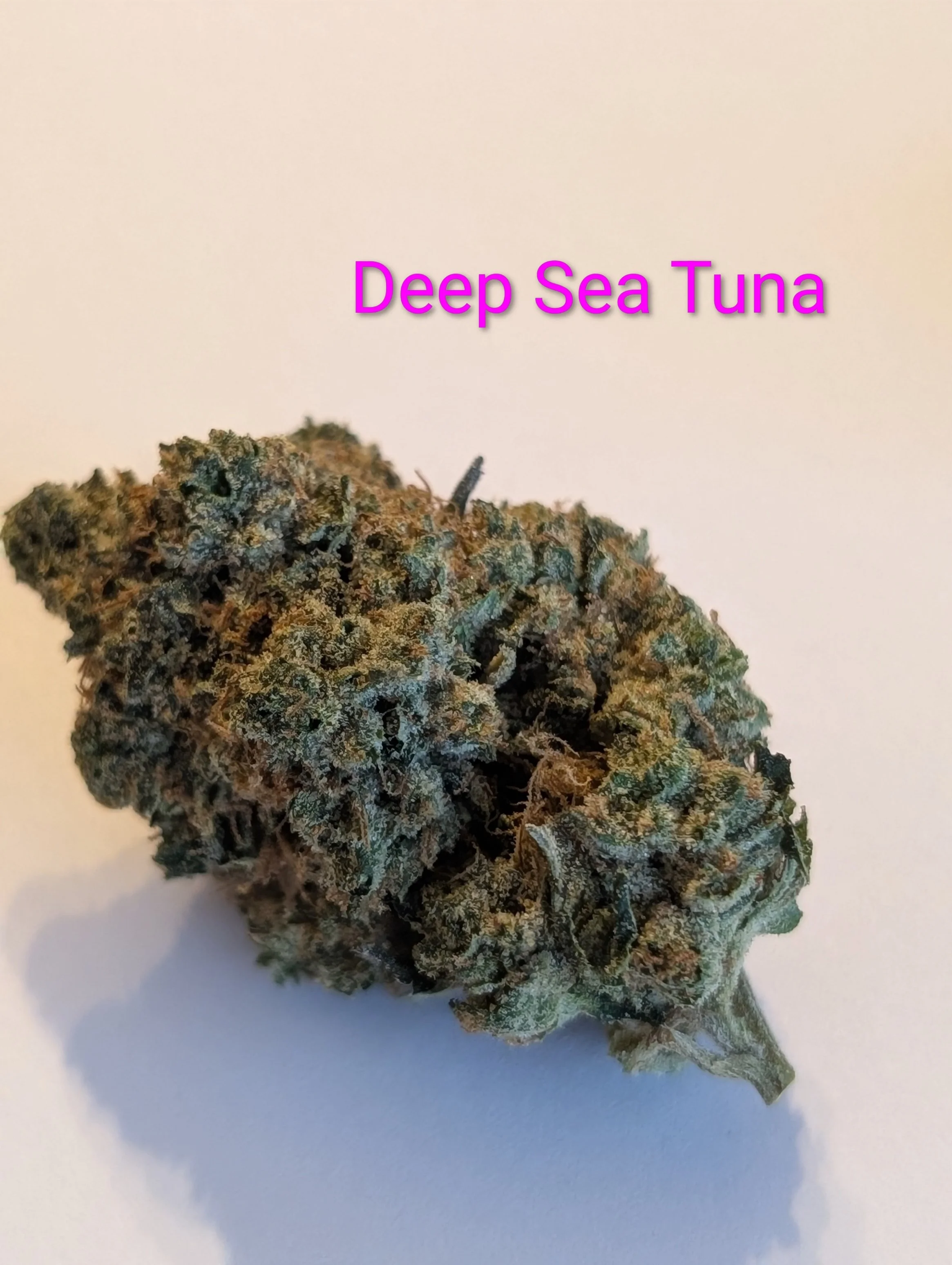 DEEP SEA TUNA - McFLY'S PREMIUM 2.0