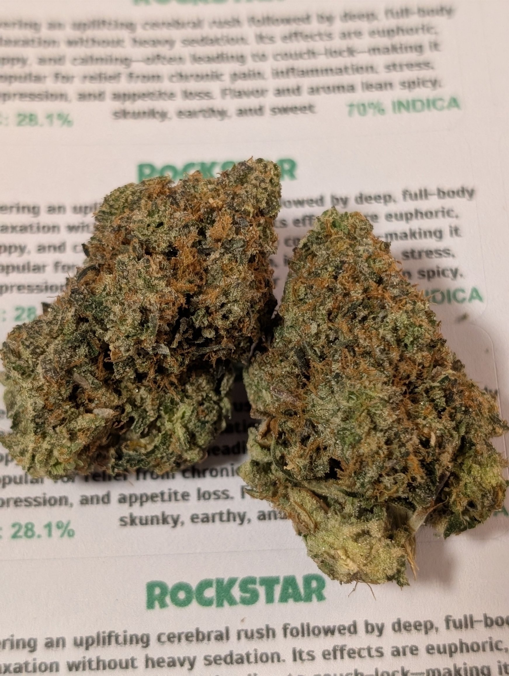 sin city - rockstar 1.jpg