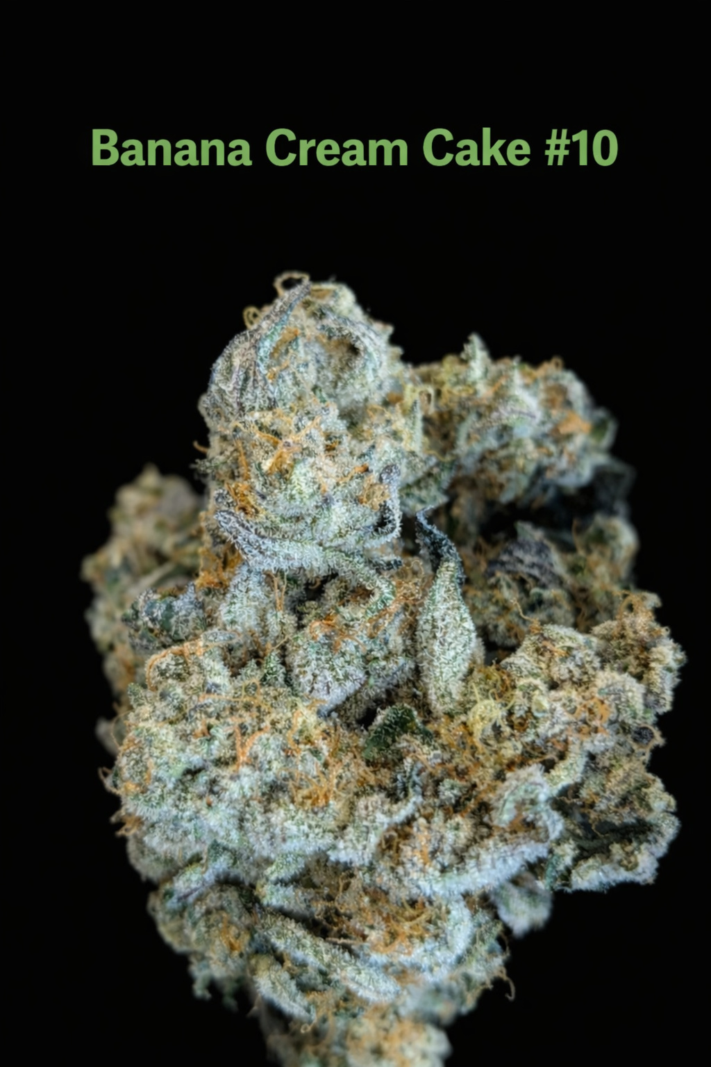 Fire Handler Exotics - Banana Cream Cake#10 2.png