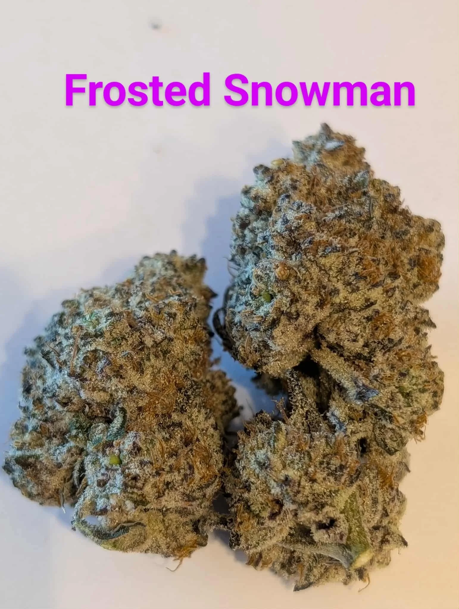 mcfly's 2.0 - frosted snowman 1.jfif