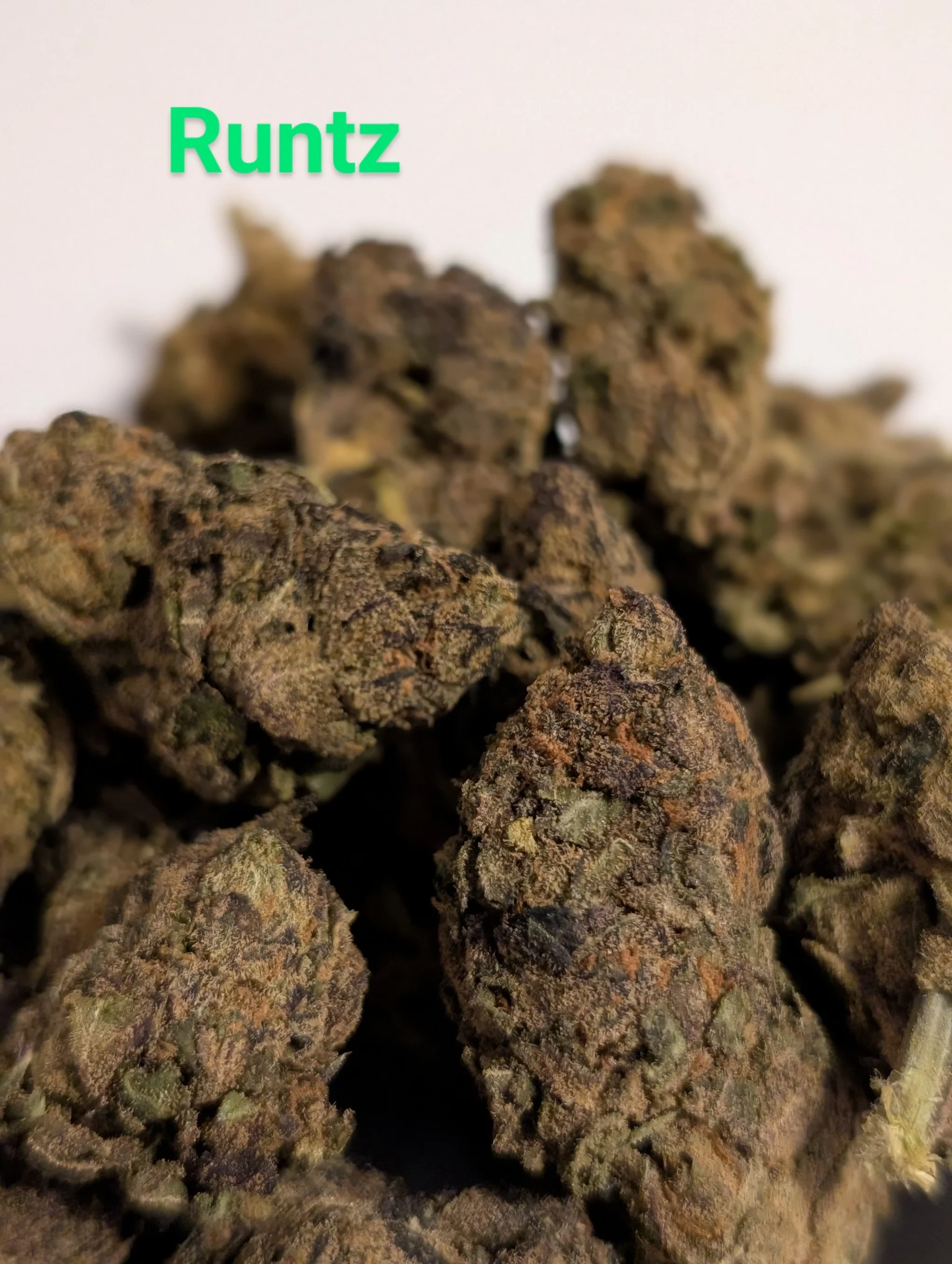 RUTZ - MIDS 2.jpg