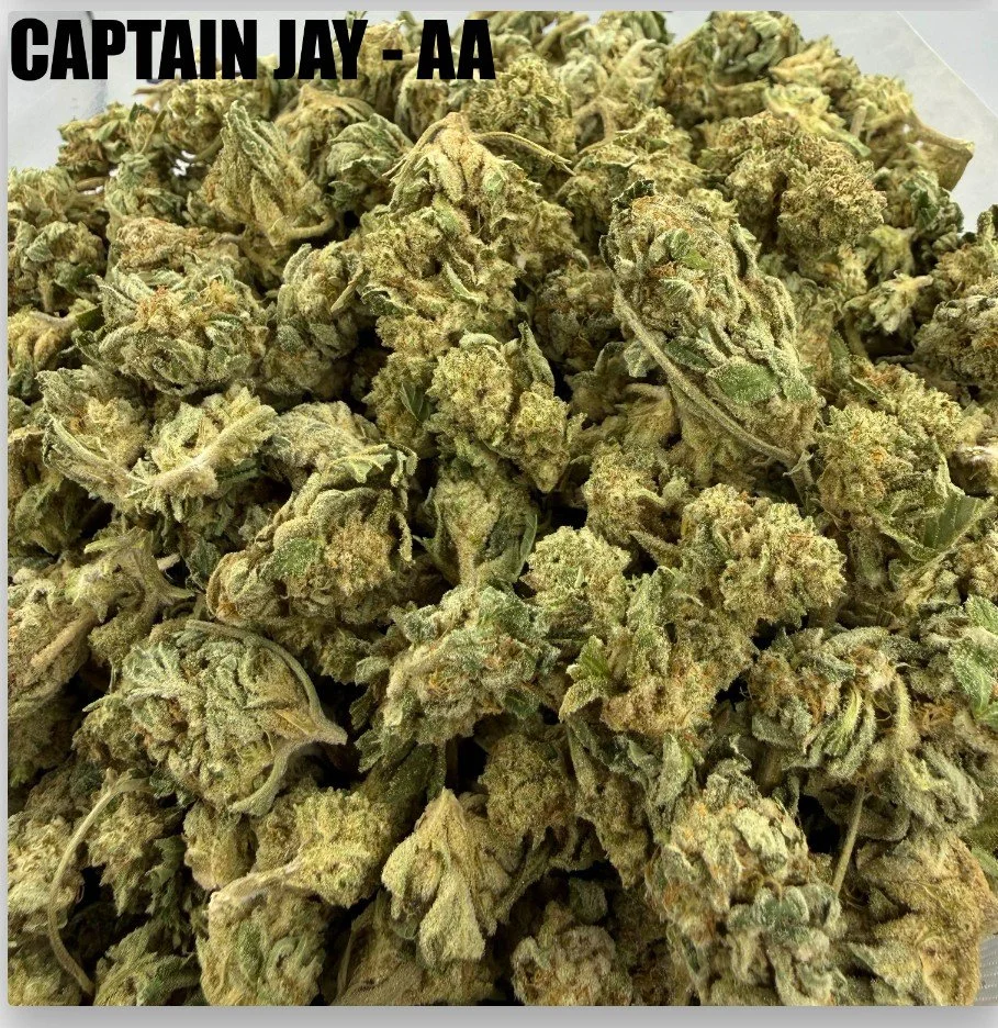 CAPTAIN JAY - CHEAPS