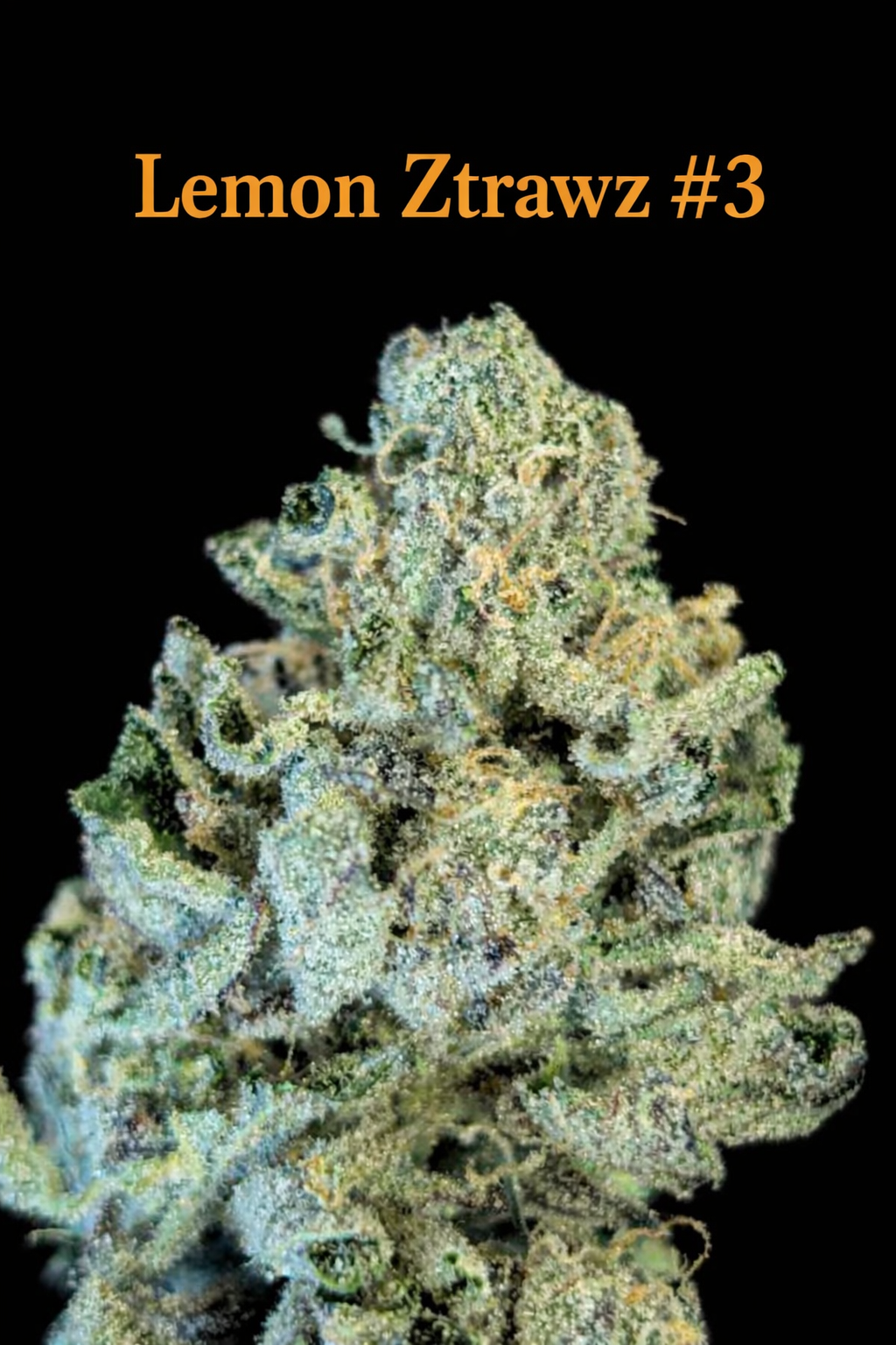 Fire Handler Exotics - Lemon Ztrawz #3 1.png