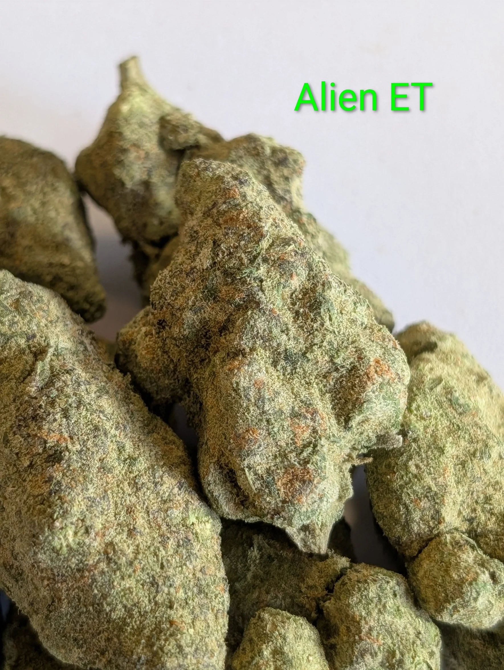 ALIEN ET - MIDS