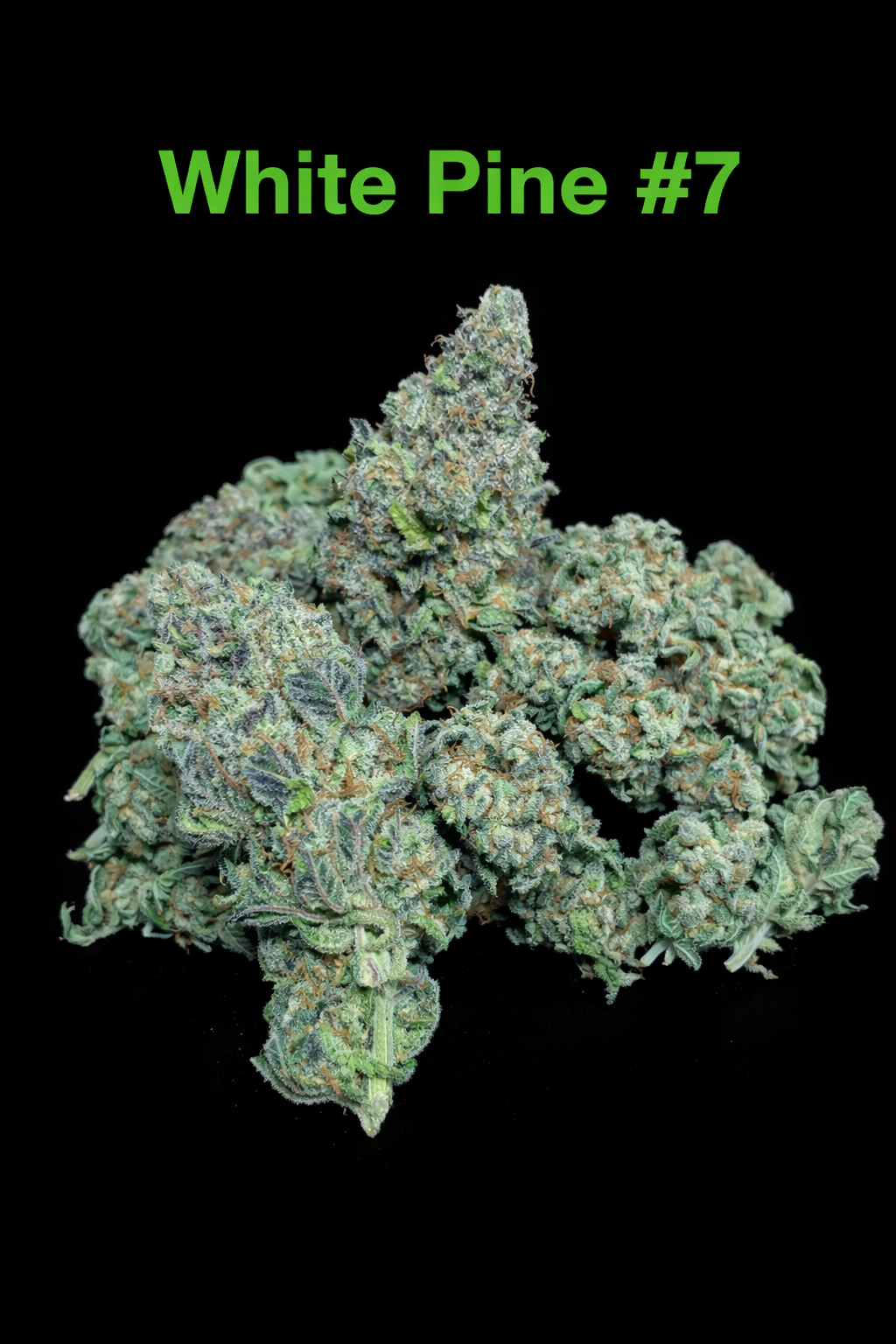 Fire Handler Exotics - White Pine #7 4.png