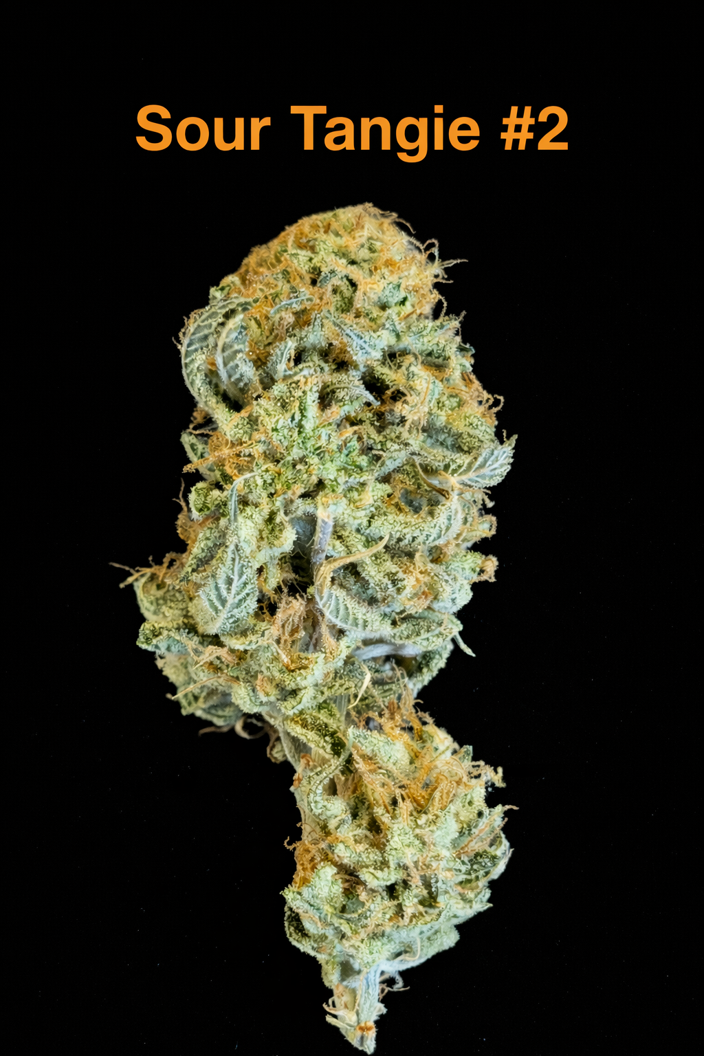 Fire Handler Exotics - Sour Tangie #2 4.png