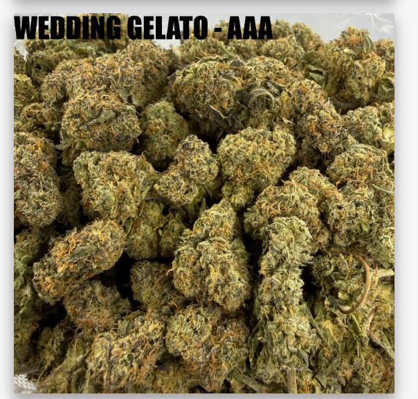 WEDDING GELATO - MIDS
