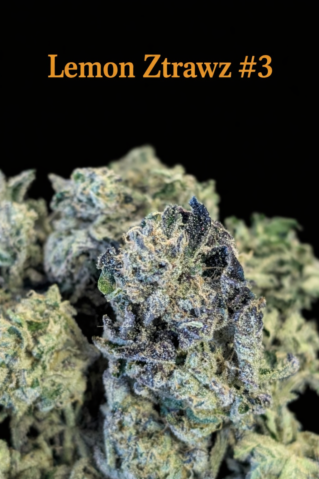 LEMON ZTRAWZ #3 - FIRE HANDLER EXOTICS