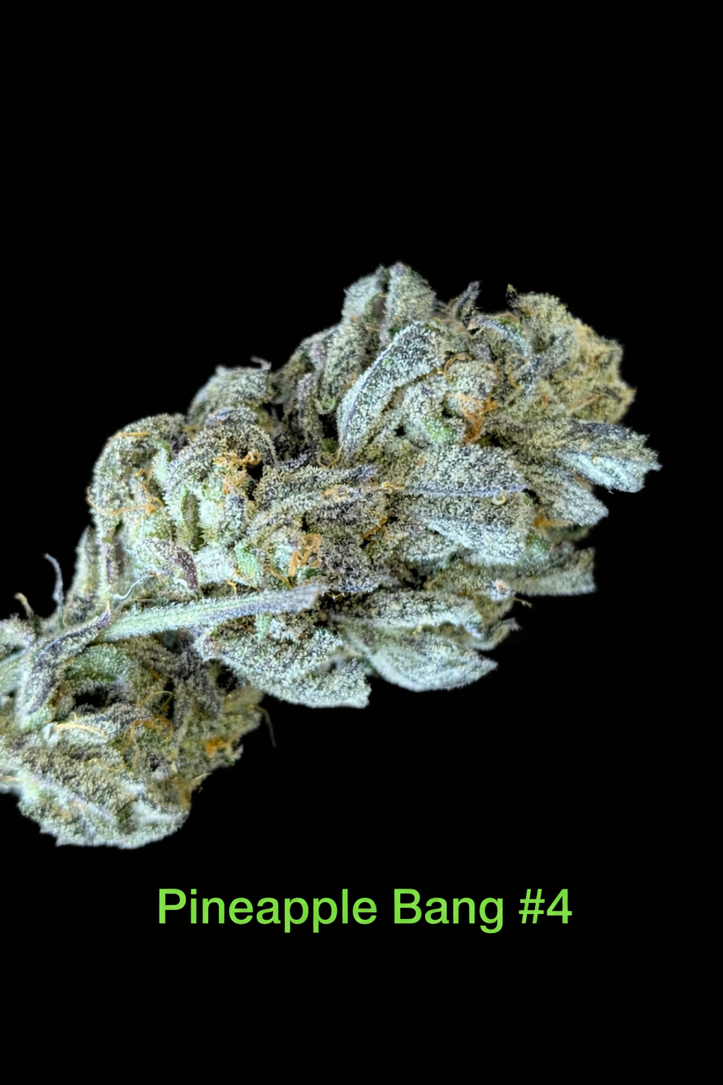 Fire Handler Exotics - Pineapple Bang #4 4.png