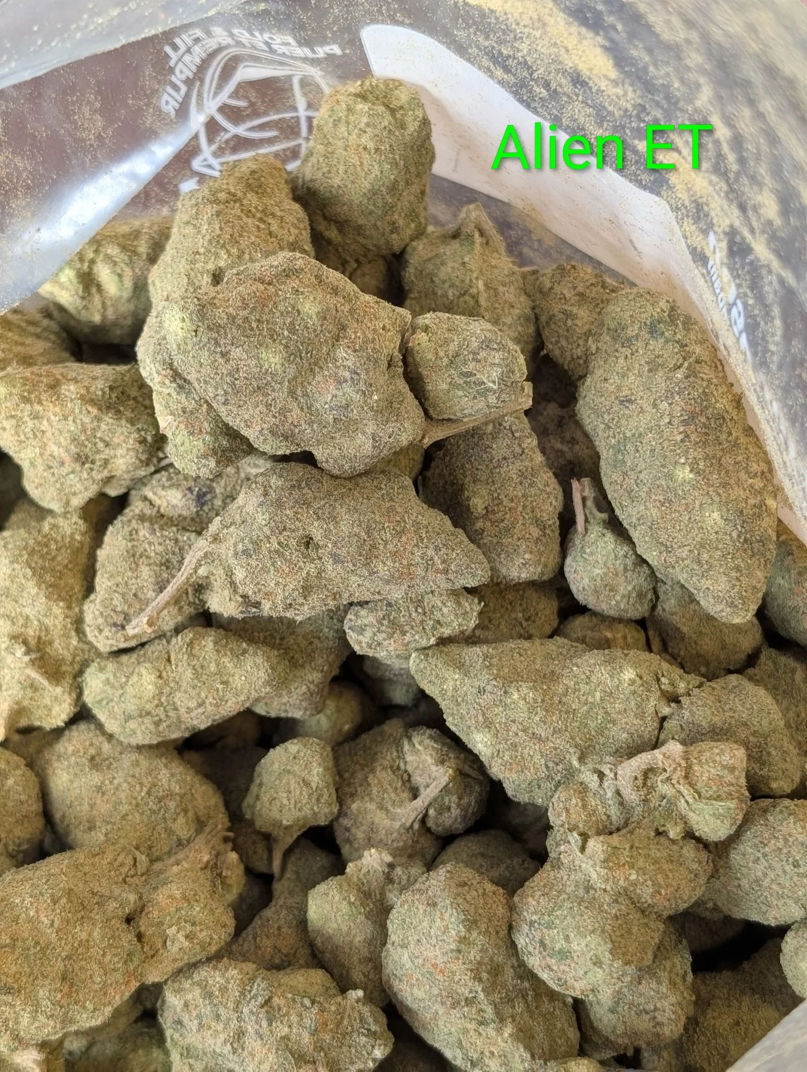 Alien ET 4.jpg