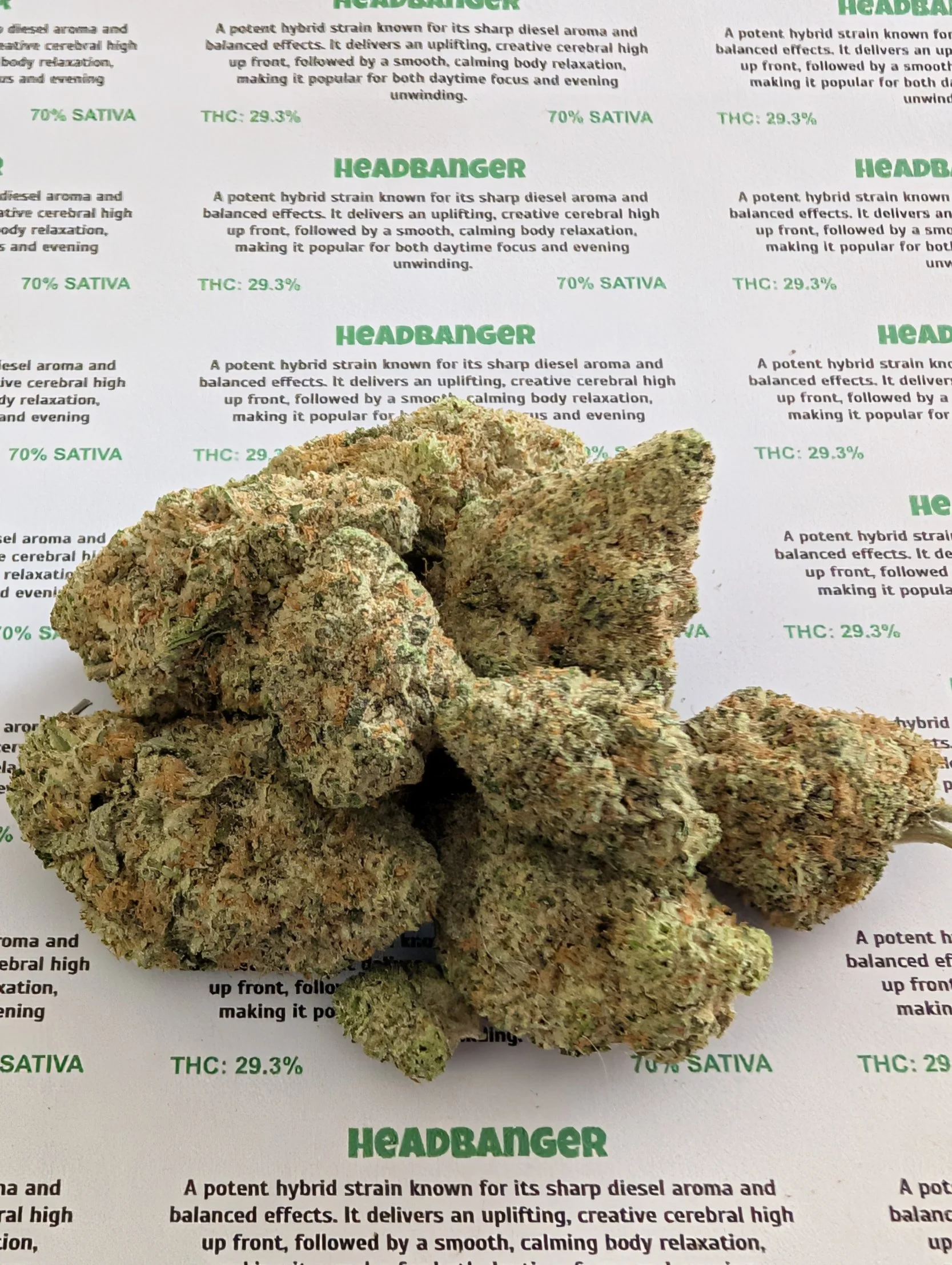 sin city - headbanger 3.jpg