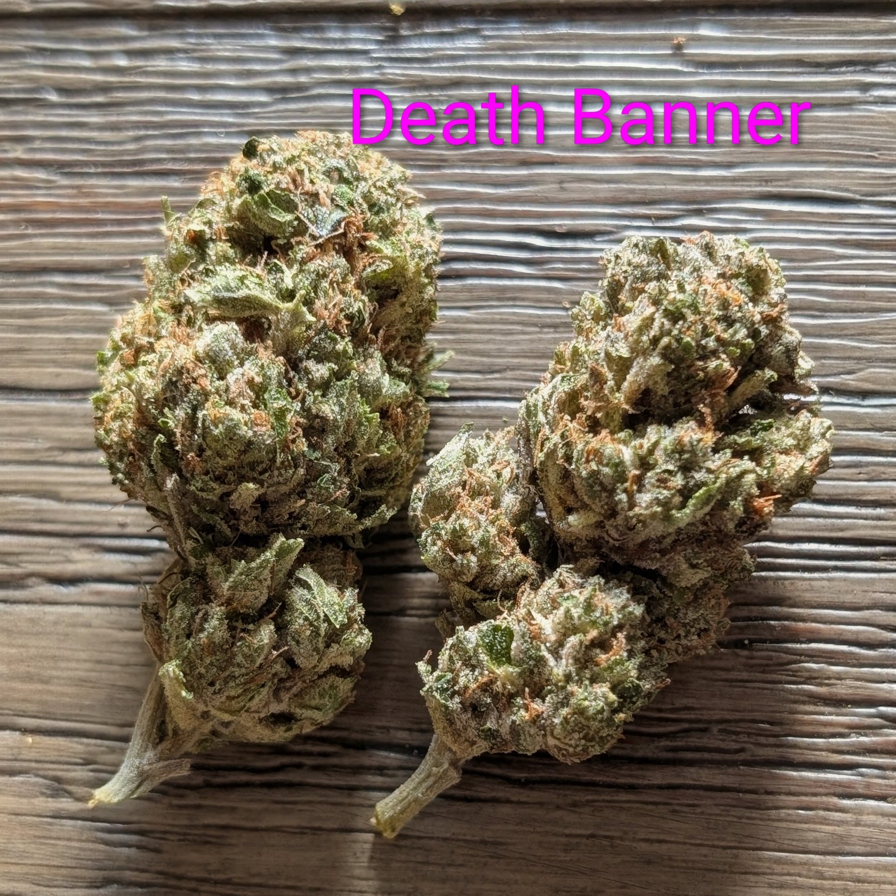 DEATH BANNER - McFLY'S PREMIUM 2.0