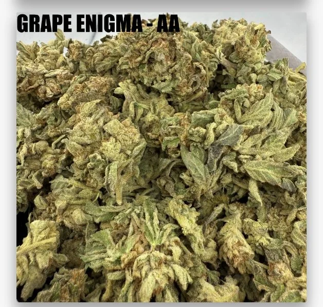 GRAPE ENIGMA - CHEAPS  {CHRISTMAS HOLIDAZE DEALZ }