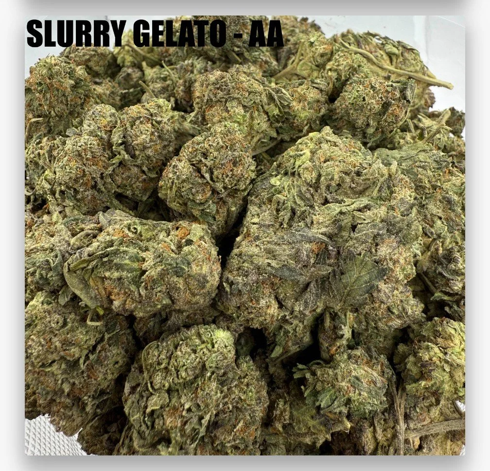 SLURRY GELATO - CHEAPS