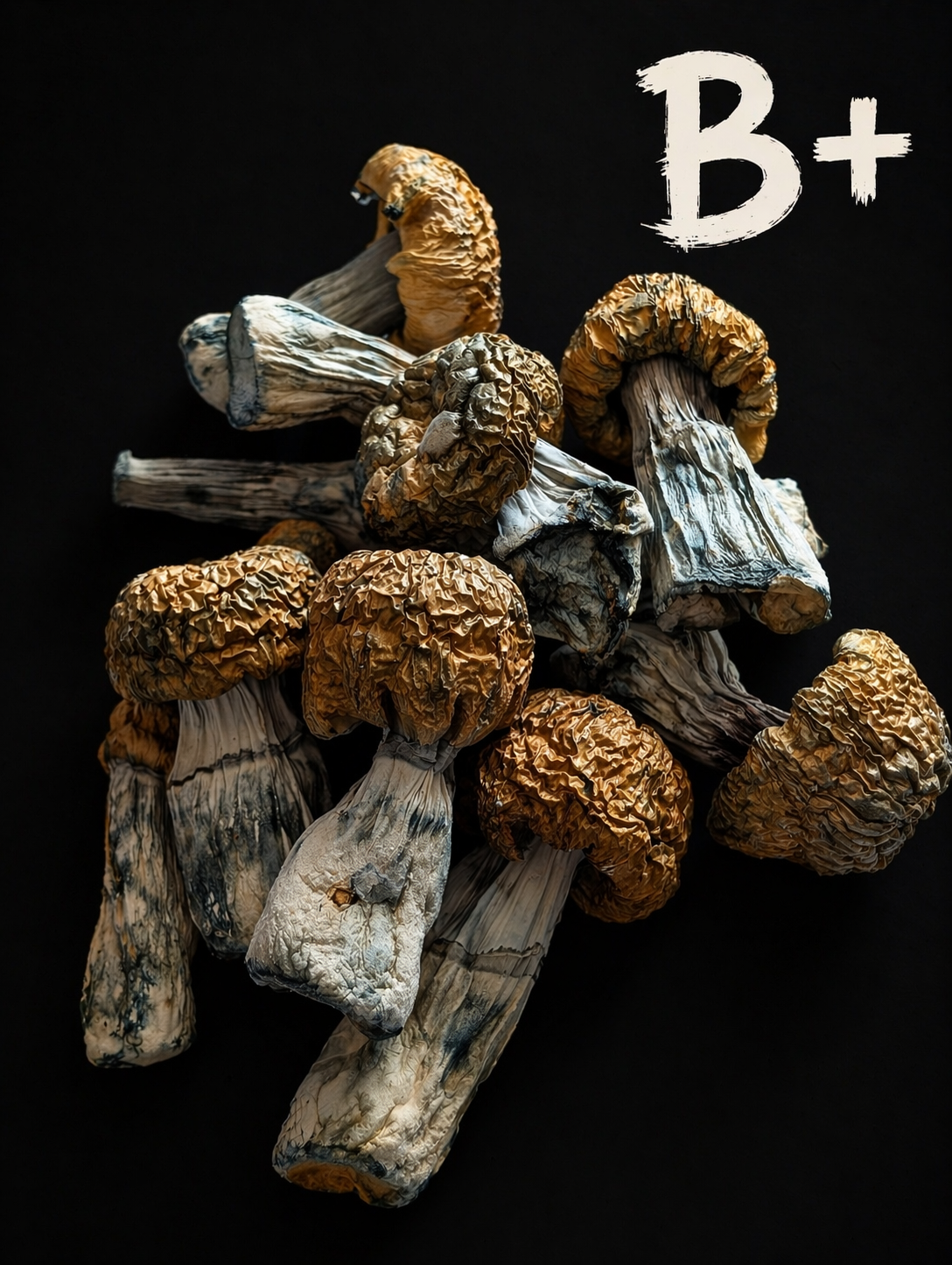 B+  SHROOMS