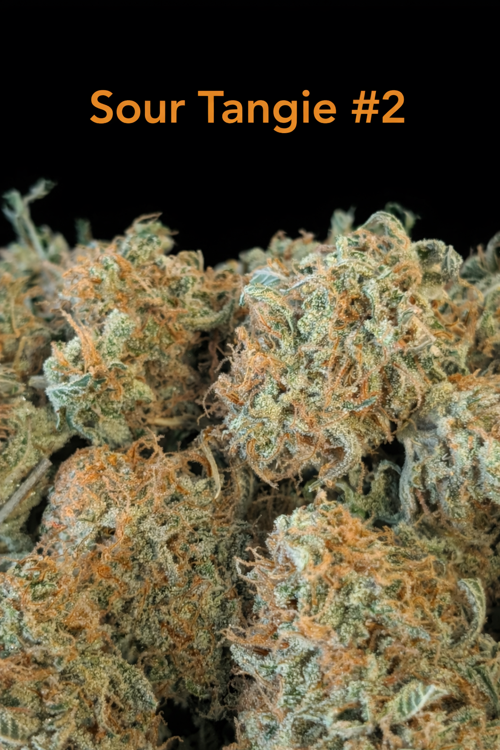 Fire Handler Exotics - Sour Tangie #2 2.png