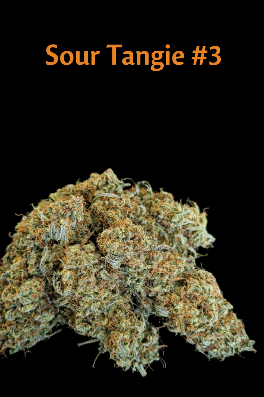 Fire Handler Exotics - Sour Tangie #3 1.png