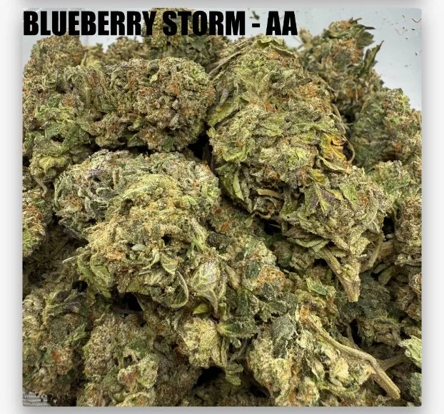 BLUEBERRY STORM - CHEAPS